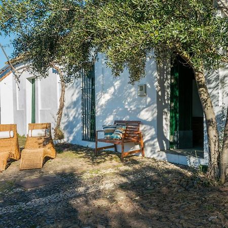 Puerto de la Laja Casa Del Ingeniero , Alberca 4 Hab 8 Pers 3 Chimeneas Con Hornoゲストハウス エクステリア 写真