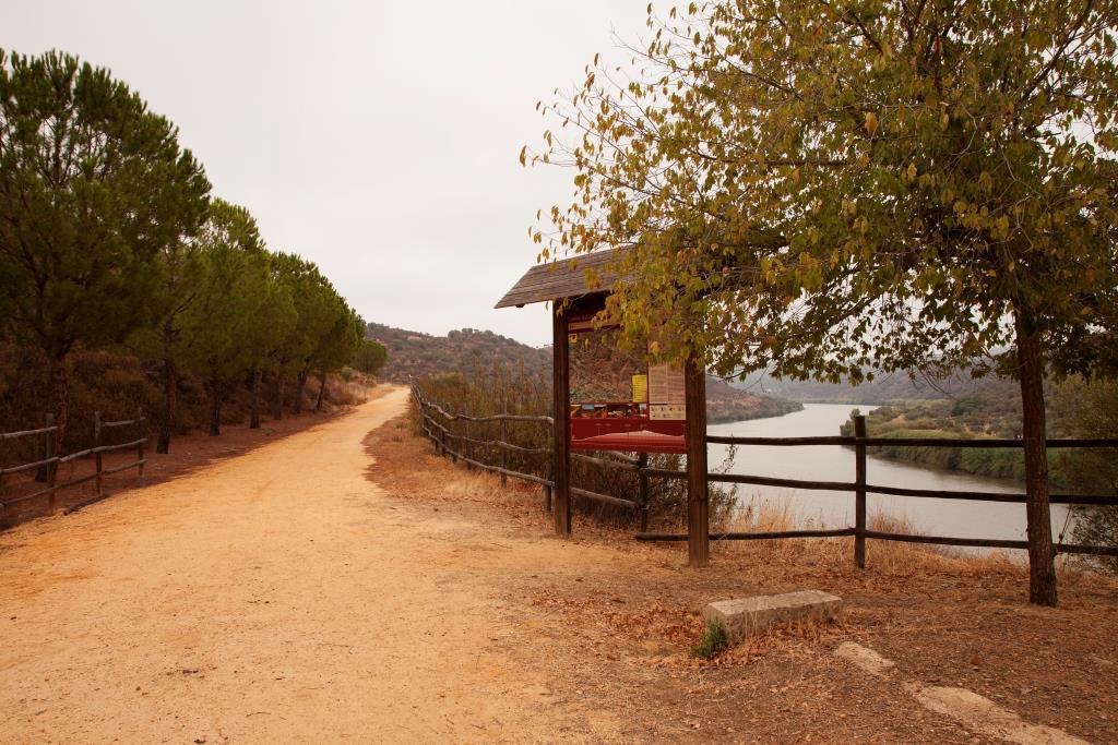 Puerto de la Laja Casa Del Ingeniero , Alberca 4 Hab 8 Pers 3 Chimeneas Con Hornoゲストハウス エクステリア 写真