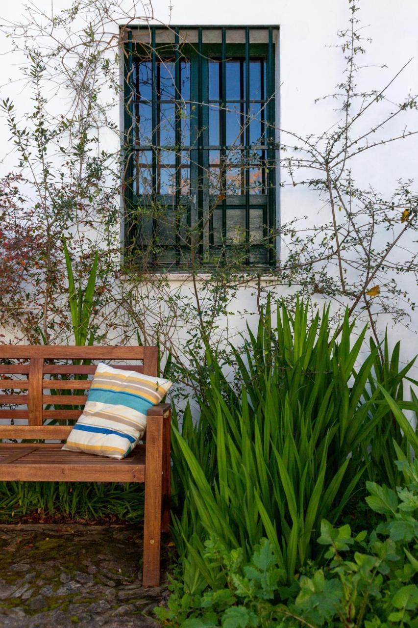 Puerto de la Laja Casa Del Ingeniero , Alberca 4 Hab 8 Pers 3 Chimeneas Con Hornoゲストハウス エクステリア 写真